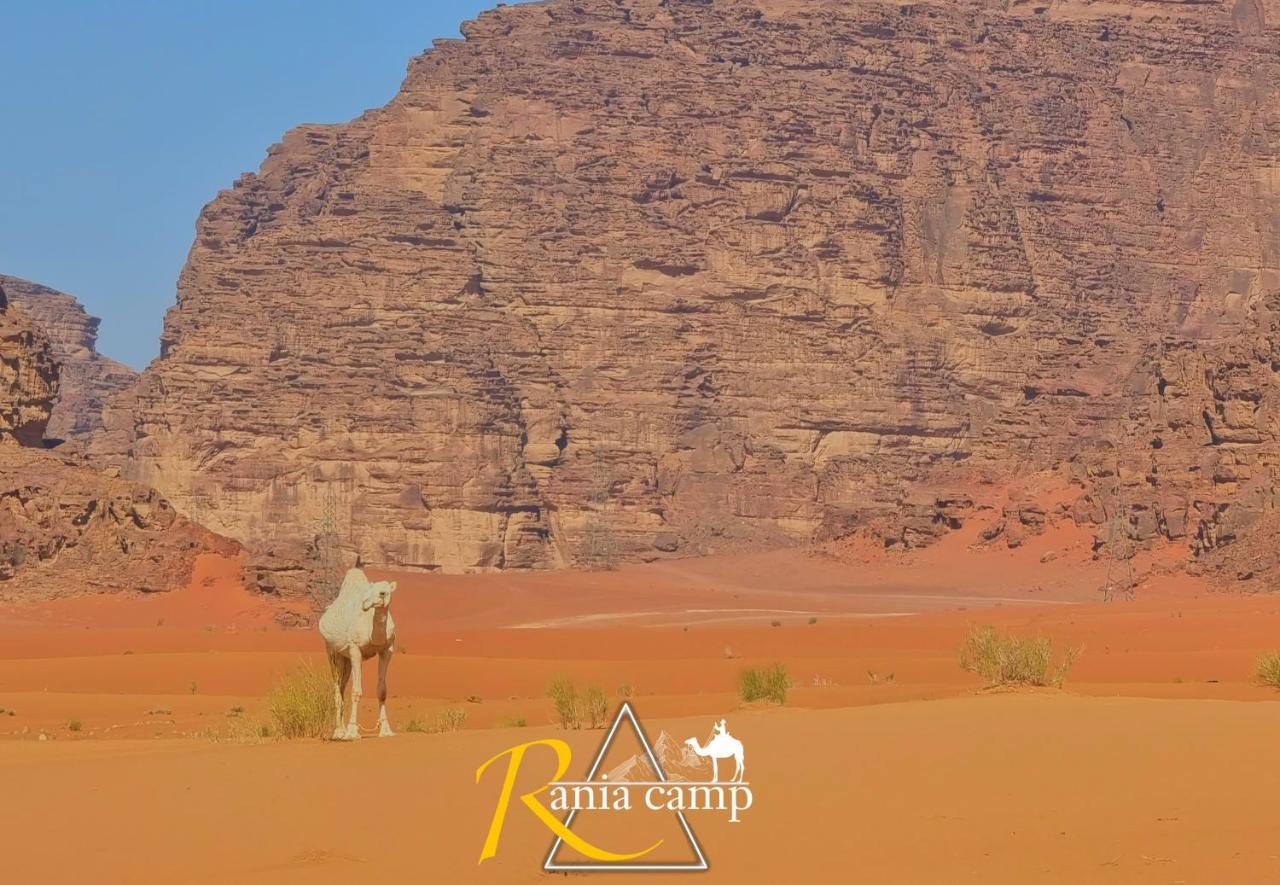 Wadi Rum,Rania Camp Luaran gambar